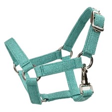 Mon Hobby Cheval - Licol Pour