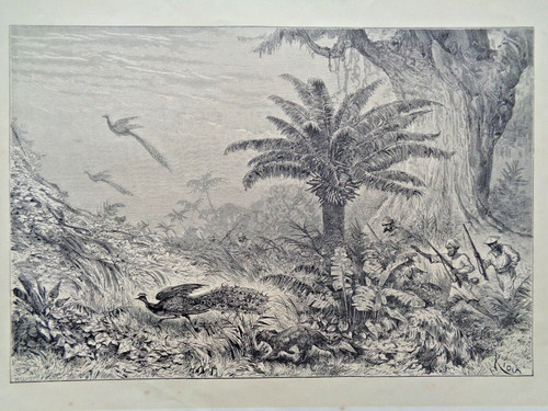 Grande gravure ancienne sur - grande,