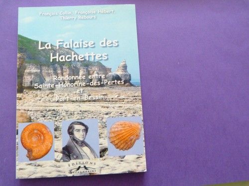 Rare livre géologie - livre,