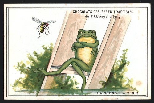 Photo collection chocolats - photo,