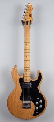 1981 peavey usa electric - usa,