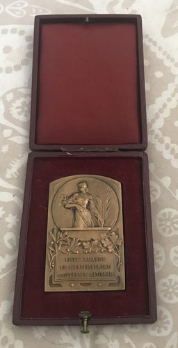 Médaille bronze ligue - médaille,