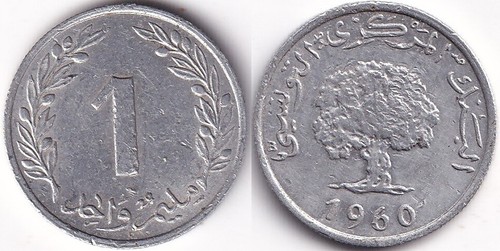 Millim 1960 tunisie arbre - tunisie,