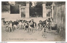 AYBP12-0979-79 - BEAUVOIR-SUR-NIORT - Chenil du rallye chizé