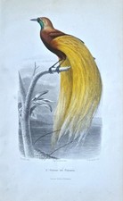 🖼️ Superbe Gravure