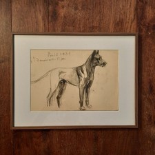 Dessin Ancien Animalier Fond