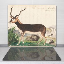 Cuisine planche pour cuisine