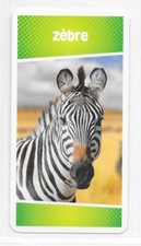 Carte Cartatoto - Zèbre