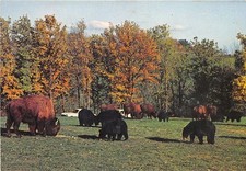 07-PEAUGRES-LE SAFARI