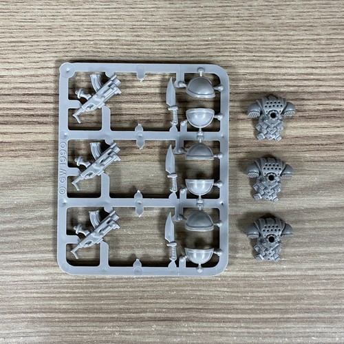 Rogue trader space marines - rogue,