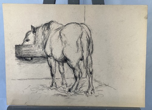 Dessin ancien cheval - cheval, à