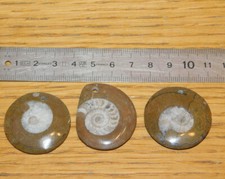 LOT 3 PENDENTIF Coquillage