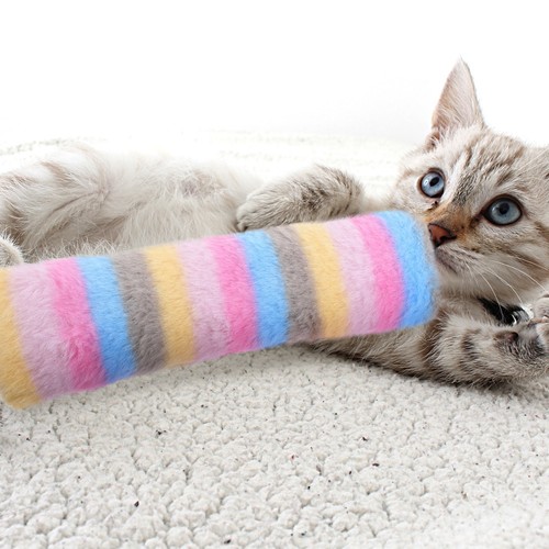 Jouets interactifs pour - interactifs,