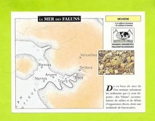 Fiche Edito service S.A. -