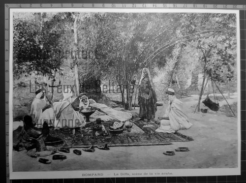 Diffa scene vie arabe - la,