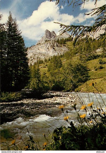 Carte postale serre - carte,