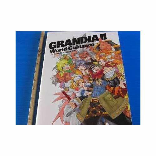 Grandia world guidance - 2,
