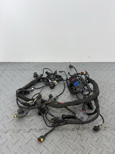 Faisceau câblage moteur - faisceau,