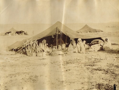 Sahara algerien campement - sahara, "campement