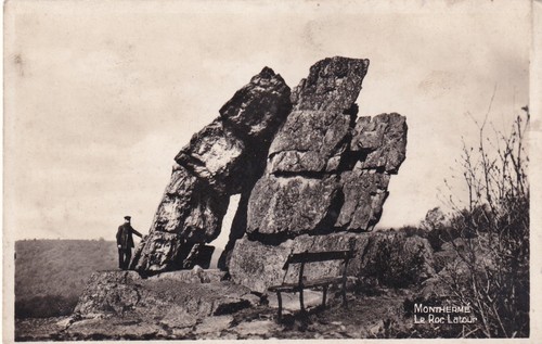 Carte postale monthermé - 🦬,