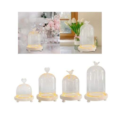 Cloche verre dôme clair - cloche,
