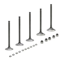 Soupape d'échappement +