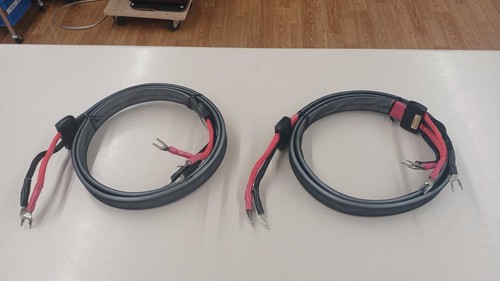 Câble haut parleur - haut-parleur, wireworld