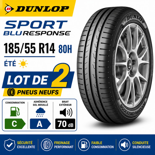 Lot pneus dunlop - de,