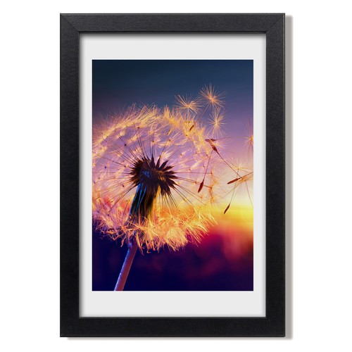 Tulup photo 20x30cm cadre - photo,
