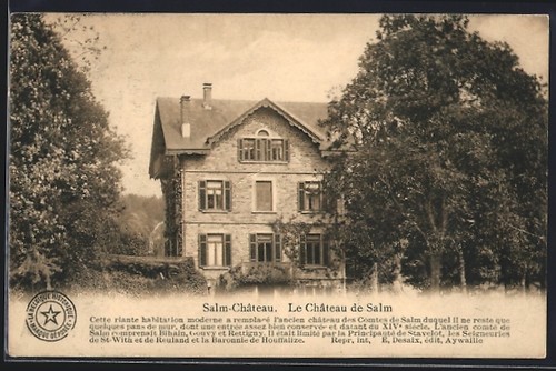 Cpa salm château - cpa, le