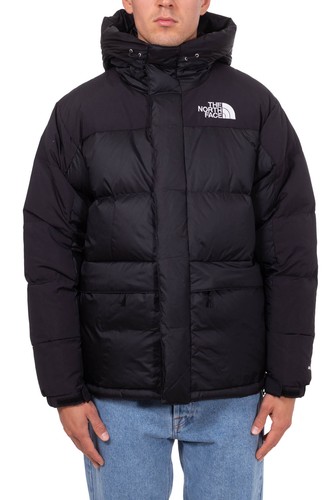 The north face men - north, men's
