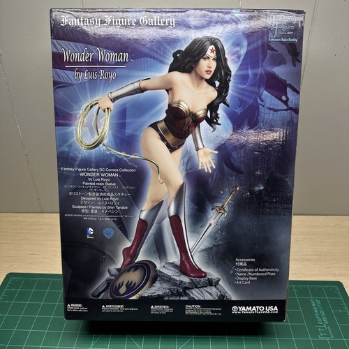 Sealed wonder woman statue 6 - woman, 1/6