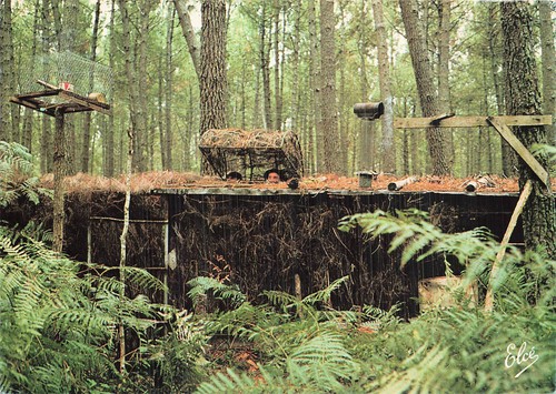 Landes palombiere en - 40,