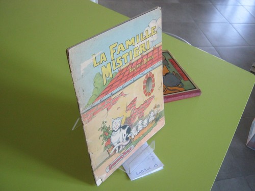 Rabier famille mistigri - famille,