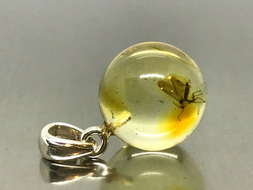 Pendentif ambre insecte cadeau - pendentif,