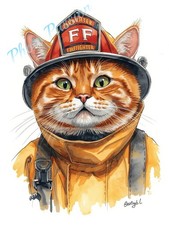 Photo A4 Chat pompier casque