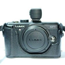 Lumix GF1 Mirrorless Camera