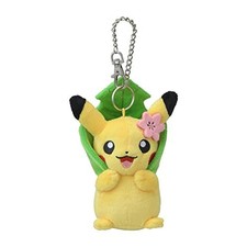 Pokemon Center Mascotte