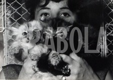 Photo De Presse Vintage France, Trois Adorables Chatons, 1962, Tirage 18x13 Cm