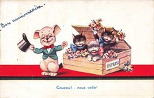 CHATS ET CHIEN dans une caisse, coucou! nous voilà!  , 987