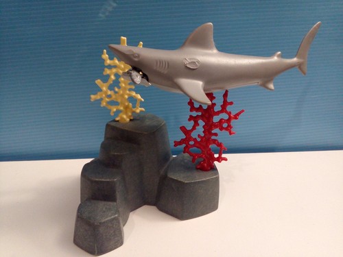 Sympa rocher requin - +,