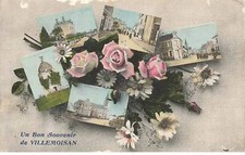 49 VILLEMOISAN #MK42589 UN BON SOUVENIR DE VILLEMOISAN MULTI VUES FLEURS