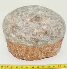 oeuf de dinosaure Hadrosaure (