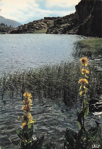 Les angles lac des - angles-lac,