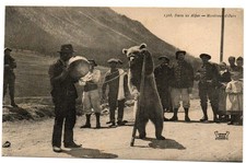 CARTE LEADER DU 05. MONTREUR D'OURS EN TRES GROS PLAN. SUPERBE CPA. COTE 244 EUR