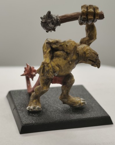 Warhammer fantasy citadel c25 - warhammer,