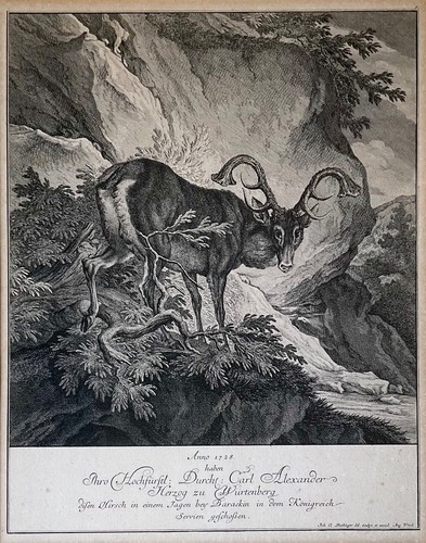 Gravure johan elias - gravure,