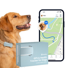Tractive DOG 6 – Collier GPS