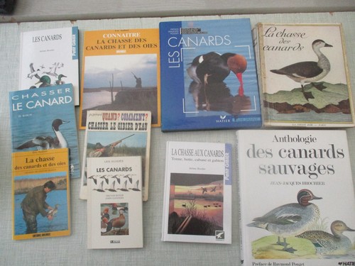 Volumes canards chasse - volumes,
