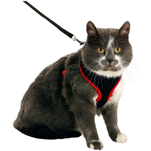 Harnais pour chat - ,, couleur